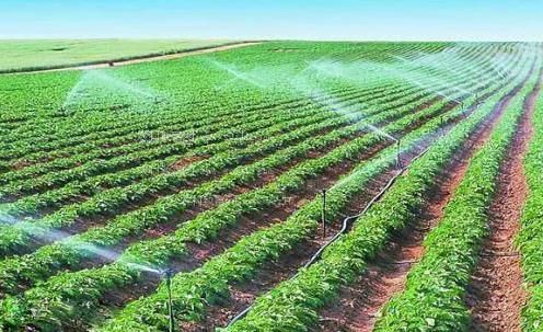 干欧美美女逼视频农田高 效节水灌溉